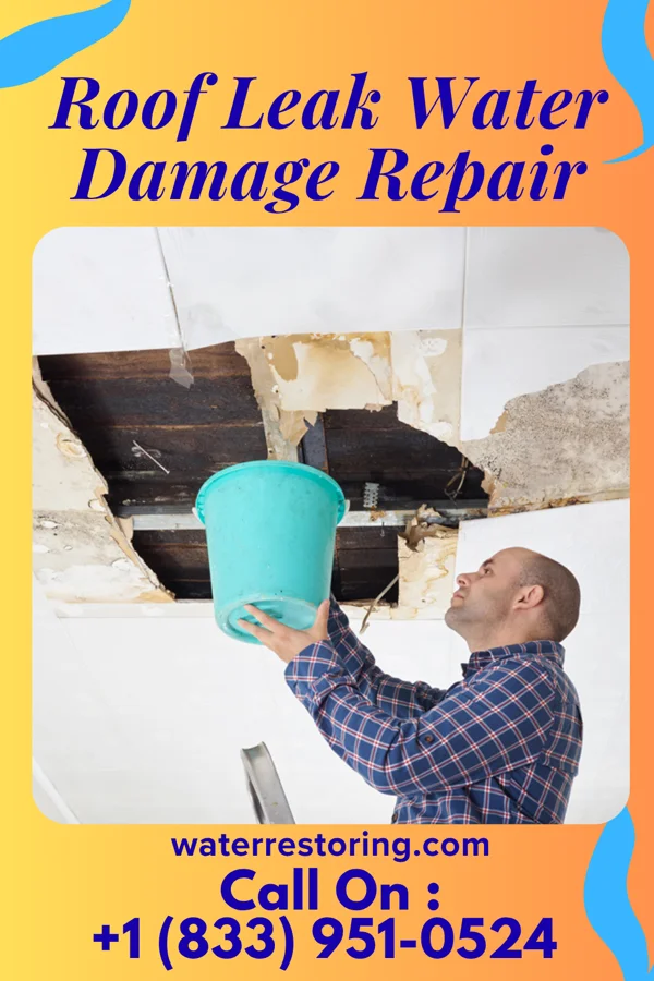 Roof Leak Water Damage Repair in Chelsea, SD